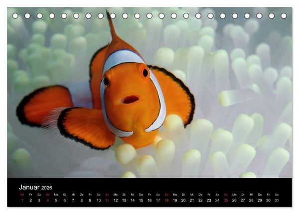 Produktbild: Unterwasser (Tischkalender 2026 DIN A5 quer), CALVENDO Monatskalender