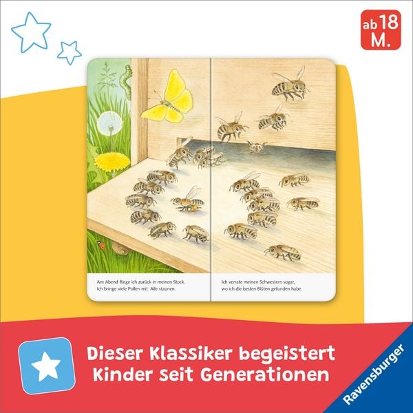 Produktbild: Ich bin die kleine Biene
