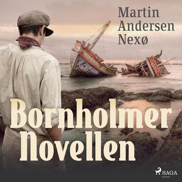 Bornholmer Novellen (Ungekürzt) - Martin Andersen Nexø, Audio, 9788711839492