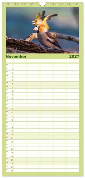 Produktbild: Familienplaner 2027 - Der Kernbei&szlig;er und seine gefiederten Gesellen mit 5 Spalten (Wandkalender, 21 x 45 cm) CALVENDO