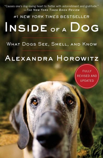 Produktbild: Inside of a Dog