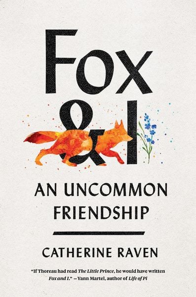 Produktbild: Fox and I