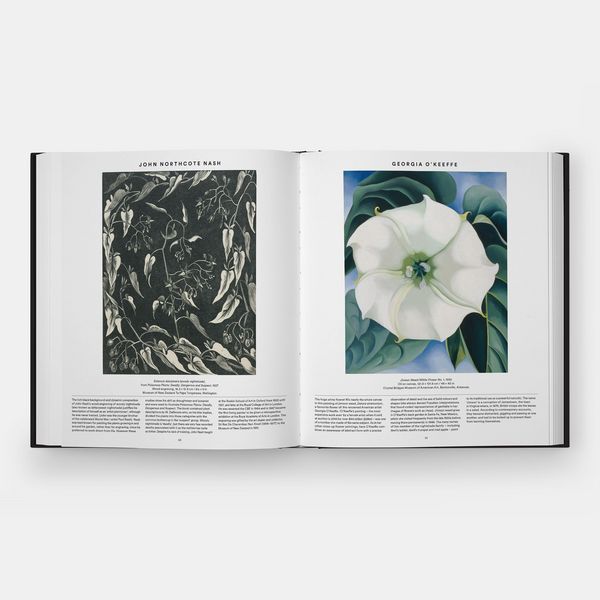 Produktbild: Plant
