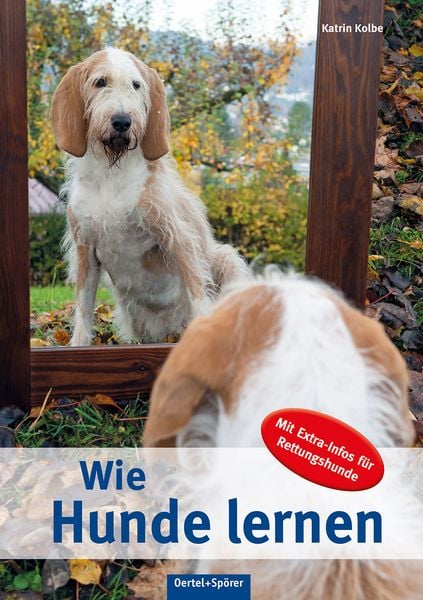 Produktbild: Wie Hunde lernen