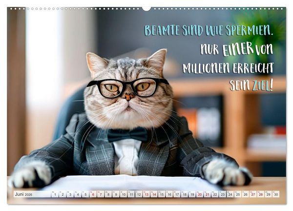 Produktbild: BEH&Ouml;RDE Der allt&auml;gliche Wahnsinn (hochwertiger Premium Wandkalender 2026 DIN A2 quer), Kunstdruck in Hochglanz
