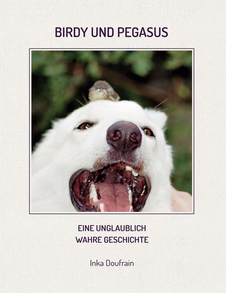 Produktbild: Birdy & Pegasus