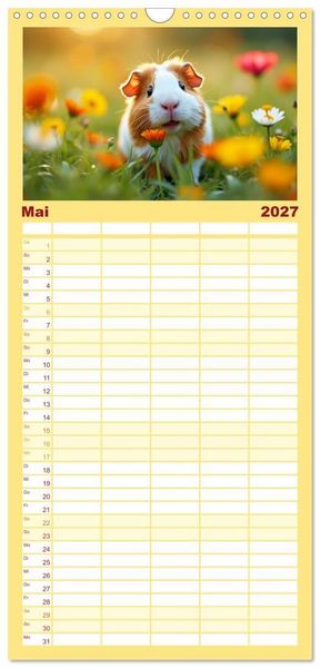 Produktbild: Familienplaner 2027 - S&uuml;&szlig;e Meerschweinchen mit 5 Spalten (Wandkalender, 21 x 45 cm) CALVENDO