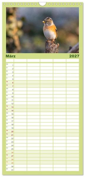 Produktbild: Familienplaner 2027 - Der Kernbei&szlig;er und seine gefiederten Gesellen mit 5 Spalten (Wandkalender, 21 x 45 cm) CALVENDO
