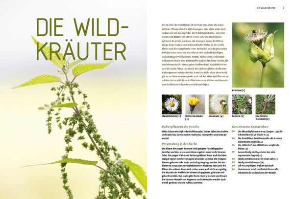 Produktbild: Die gro&szlig;e Wildkr&auml;uter-Kochschule