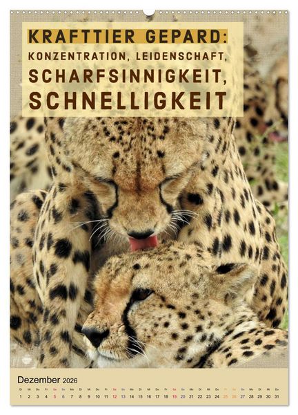 Produktbild: Afrikanische Krafttiere und deren Bedeutung (hochwertiger Premium Wandkalender 2026 DIN A2 hoch), Kunstdruck in Hochglanz