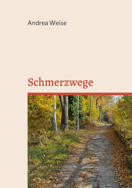 Produktbild: Schmerzwege