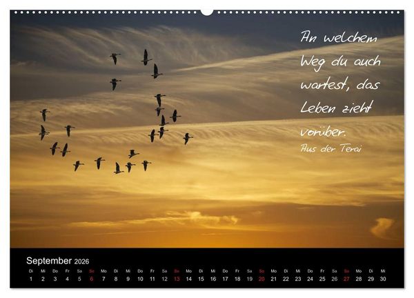 Produktbild: Poetische Wege (hochwertiger Premium Wandkalender 2026 DIN A2 quer), Kunstdruck in Hochglanz