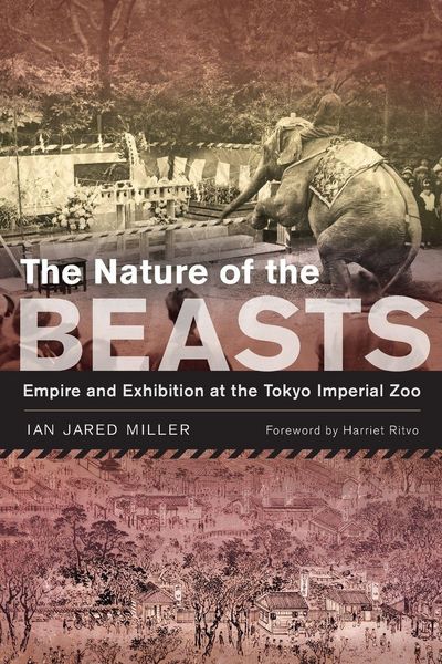 Produktbild: The Nature of the Beasts