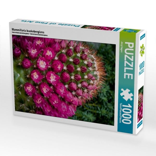 CALVENDO Puzzle Mammillaria backebergiana | 1000 Teile Lege-Größe 64x48cm Foto-Puzzle für glückliche Stunden