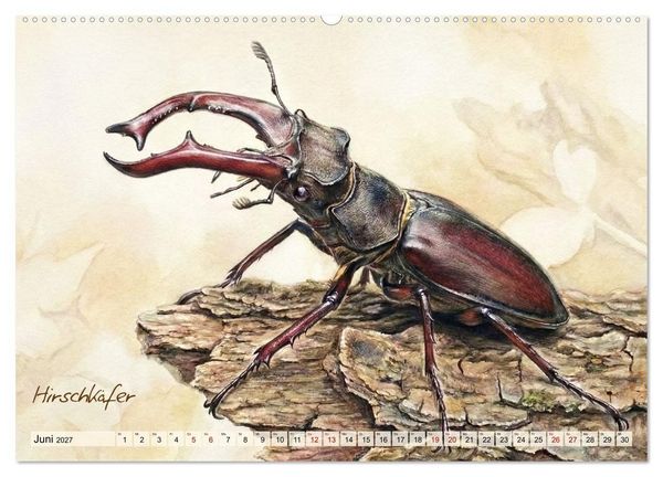 Produktbild: Kleine Wunder in Aquarell - Heimische Insekten kunstvoll illustriert (hochwertiger Premium Wandkalender 2027 DIN A2 quer), Kunstdruck in Hochglanz