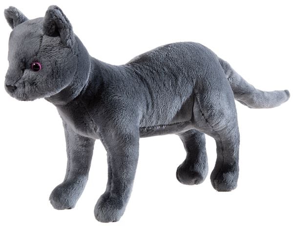 Produktbild: Heunec 621169 - Katze Karajan, Schule der magischen Tiere, Pl&uuml;schtier, 30 cm