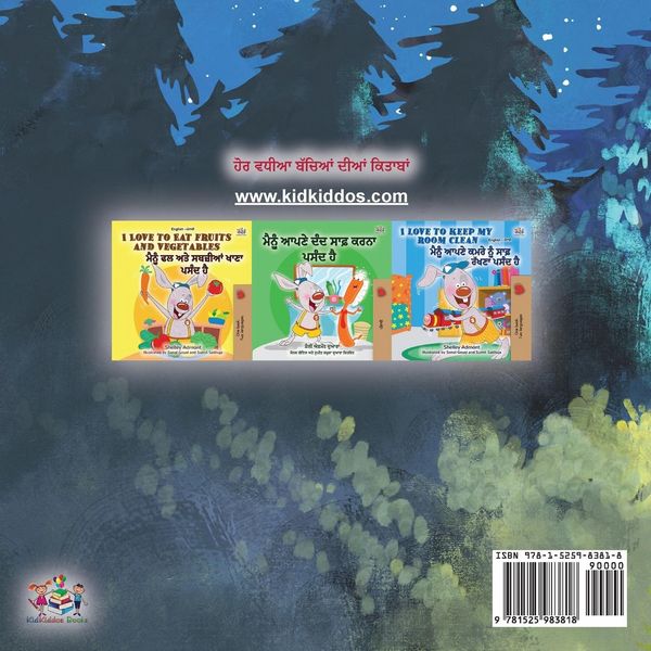 Produktbild: Under the Stars (Punjabi Gurmukhi Kids Book)