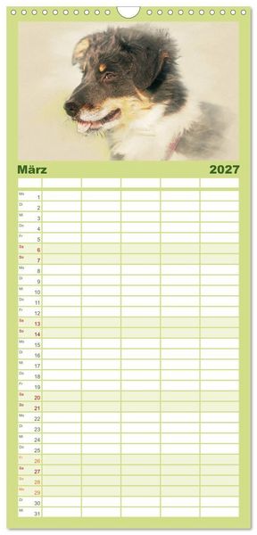 Produktbild: Familienplaner 2027 - Hundewelpen 2027 mit 5 Spalten (Wandkalender, 21 x 45 cm) CALVENDO
