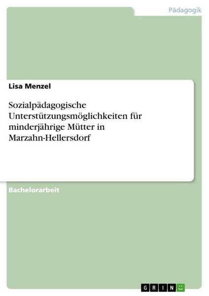 Produktbild: Sozialp&auml;dagogische Unterst&uuml;tzungsm&ouml;glichkeiten f&uuml;r minderj&auml;hrige M&uuml;tter in Marzahn-Hellersdorf