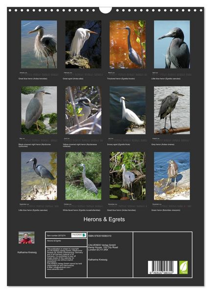 Produktbild: Herons & Egrets (Wall Calendar 2026 DIN A3 portrait), CALVENDO 12 Month Wall Calendar