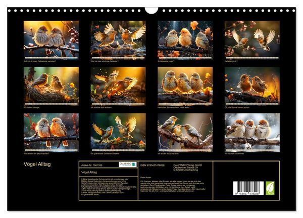Produktbild: V&ouml;gel Alltag (Wandkalender 2026 DIN A3 quer), CALVENDO Monatskalender