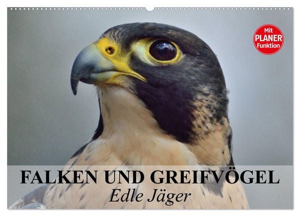 Falken und Greifvögel - Edle Jäger (Wandkalender 2026 DIN A2 quer), CALVENDO Monatskalender