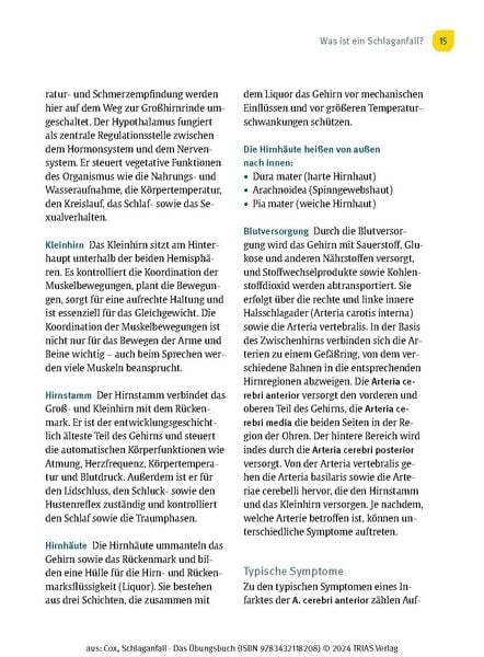 Produktbild: Schlaganfall - Das &Uuml;bungsbuch