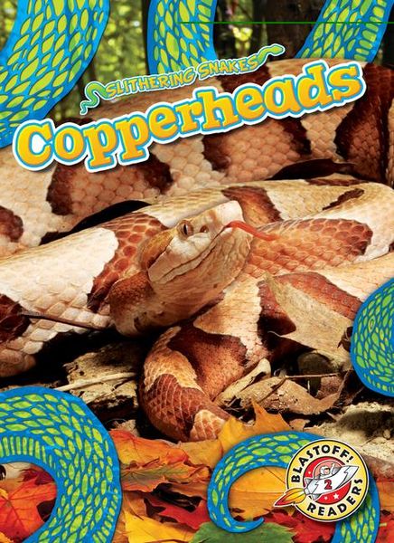 Produktbild: Copperheads