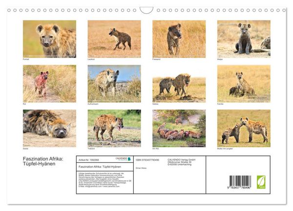 Produktbild: Faszination Afrika: T&uuml;pfel-Hy&auml;nen (Wandkalender 2026 DIN A3 quer), CALVENDO Monatskalender