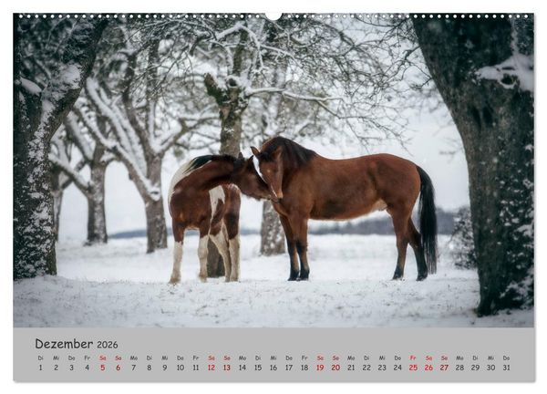Produktbild: Spiegel deiner Seele (hochwertiger Premium Wandkalender 2026 DIN A2 quer), Kunstdruck in Hochglanz