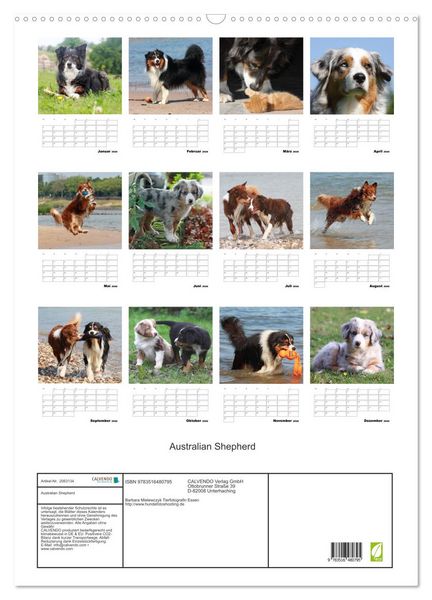 Produktbild: Australian Shepherd (Wandkalender 2026 DIN A2 hoch), CALVENDO Monatskalender