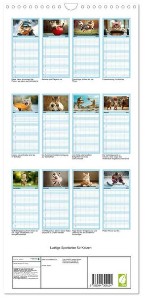 Produktbild: Familienplaner 2027 - Lustige Sportarten f&uuml;r Katzen mit 5 Spalten (Wandkalender, 21 x 45 cm) CALVENDO