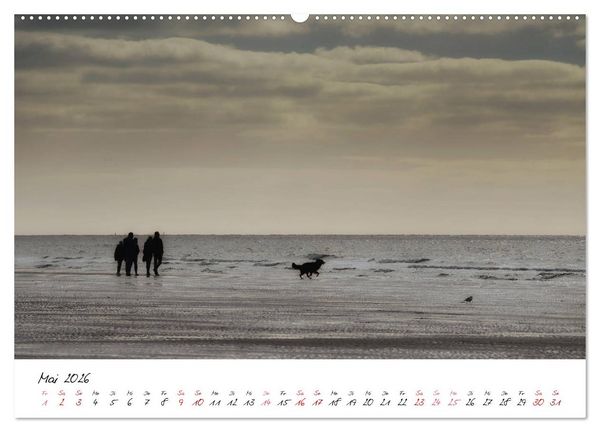 Produktbild: Naturpark Wattenmeer und Helgoland (Wandkalender 2026 DIN A2 quer), CALVENDO Monatskalender