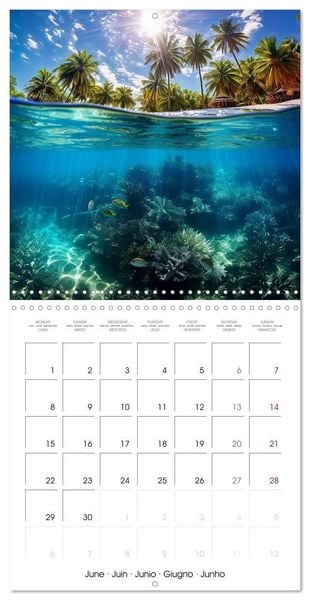 Produktbild: Beside tropical beaches (Wall Calendar 2026 12 &times; 12 Inch) CALVENDO 12 Month Wall Calendar