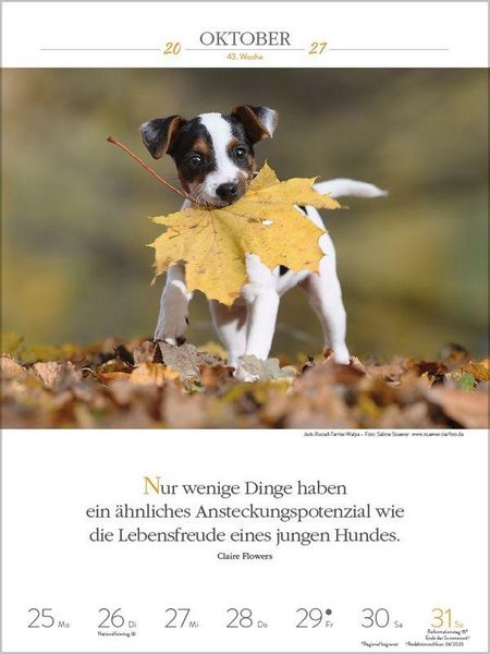 Produktbild: Literaturkalender Hunde 2027