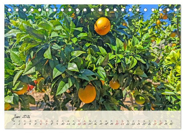 Produktbild: Siziliens Zauber &ndash; Von Palermo bis Taormina (Tischkalender 2026 DIN A5 quer), CALVENDO Monatskalender