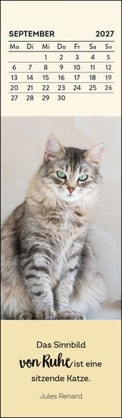 Produktbild: Lesezeichenkalender 2027: Katzenfreunde