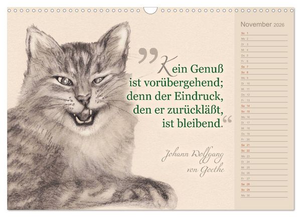 Produktbild: Von Katzen lernen (Wandkalender 2026 DIN A3 quer), CALVENDO Monatskalender