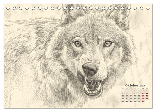 Produktbild: Wilde Seelen - Tierische Momente in Graphit (Tischkalender 2026 DIN A5 quer), CALVENDO Monatskalender