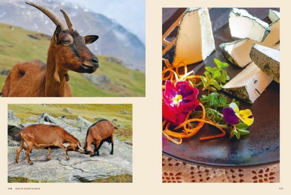 Produktbild: S&uuml;dtirol: Die junge Bergk&uuml;che