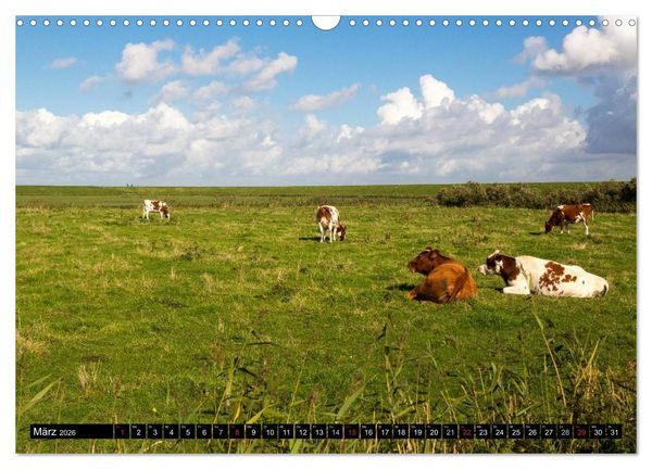 Produktbild: Gr&uuml;&szlig;e von Pellworm (Wandkalender 2026 DIN A3 quer), CALVENDO Monatskalender