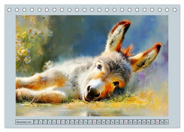 Produktbild: Zwergesel. Kleine Langohren mit gro&szlig;em Charme (Tischkalender 2027 DIN A5 quer), CALVENDO Monatskalender