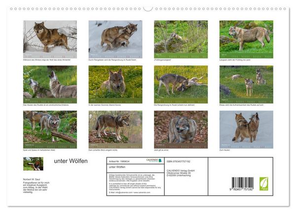 Produktbild: unter W&ouml;lfen (hochwertiger Premium Wandkalender 2026 DIN A2 quer), Kunstdruck in Hochglanz