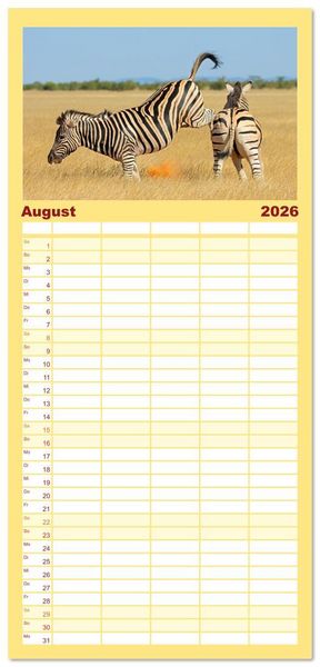 Produktbild: Familienplaner 2026 - Zebras - Die gestreiften Vierbeiner. mit 5 Spalten (Wandkalender, 21 x 45 cm) CALVENDO