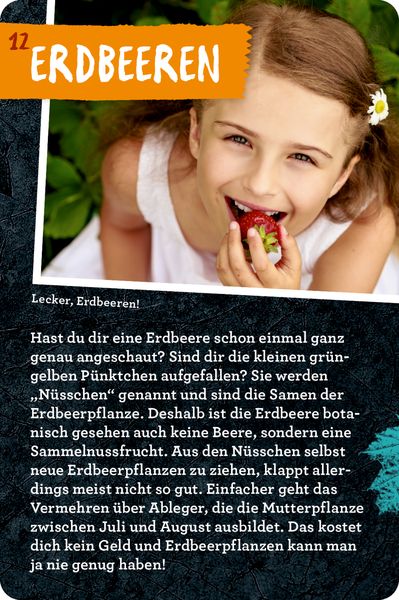 Produktbild: 50 Garten-Projekte - Nature Zoom (Blechdose)