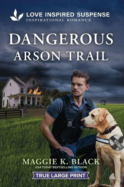 Produktbild: Dangerous Arson Trail