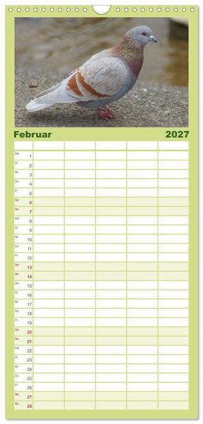 Produktbild: Familienplaner 2027 - Tauben in der Stadt mit 5 Spalten (Wandkalender, 21 x 45 cm) CALVENDO