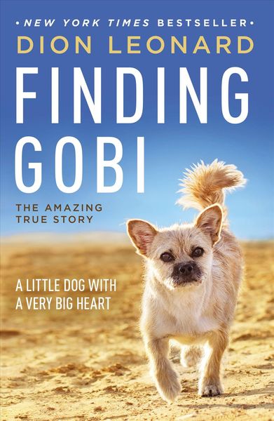 Produktbild: Finding Gobi