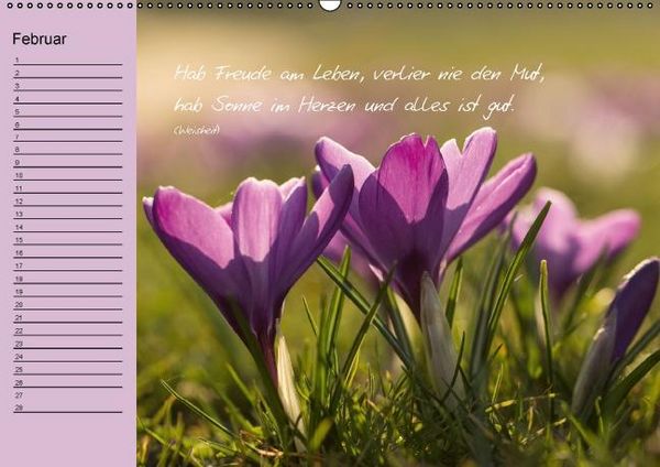 Produktbild: Blumengartenjahr - Geburtstagskalender mit sch&ouml;nen Zitaten (Wandkalender immerw&auml;hrend DIN A2 quer)
