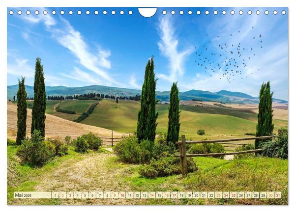 Produktbild: Traumwege entdecken (Wandkalender 2026 DIN A4 quer), CALVENDO Monatskalender